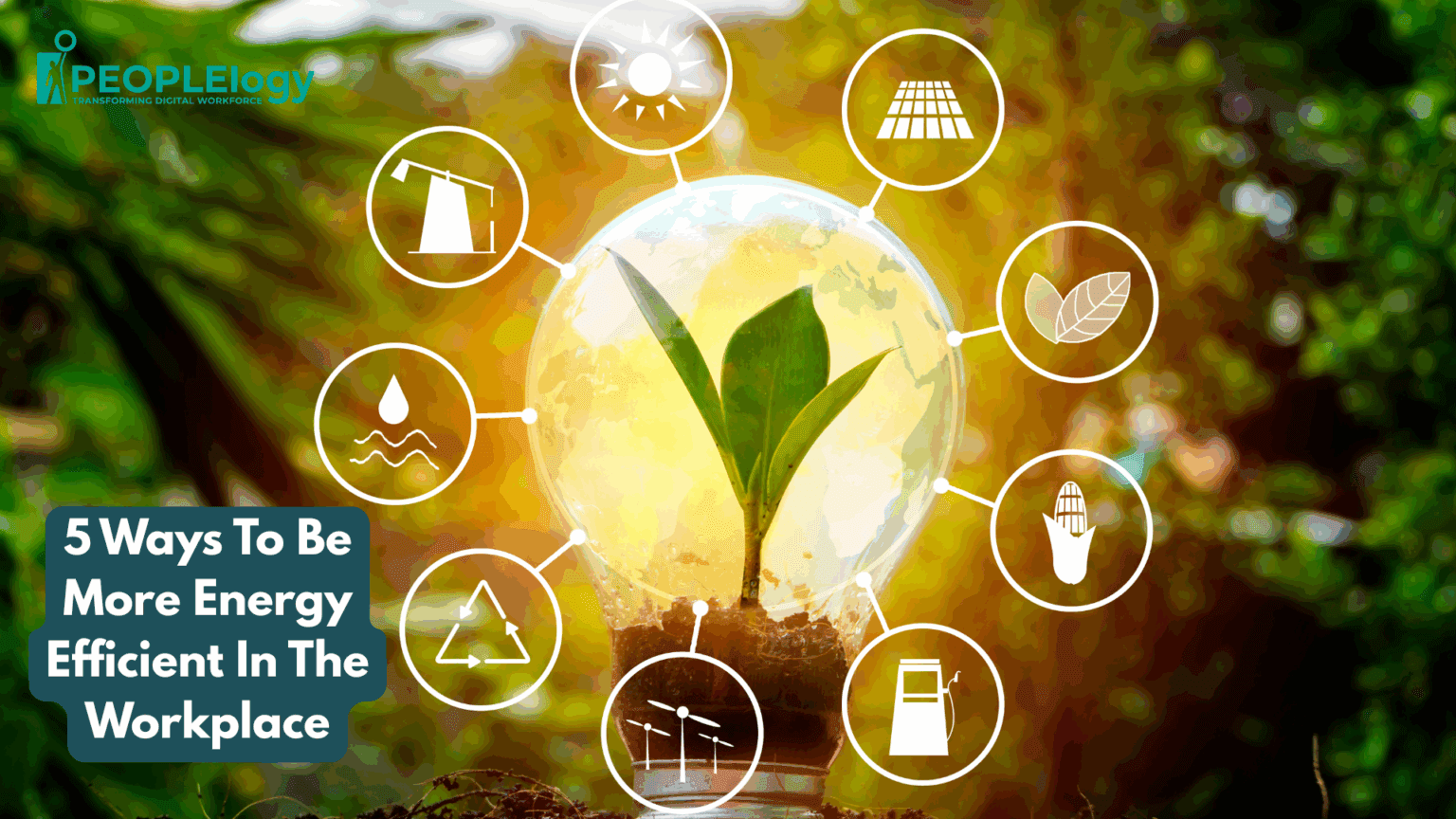 5 Ways To Be More Energy Efficient in the Workplace
